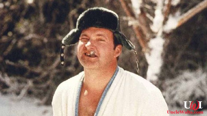 Cousin eddie vacation quotes